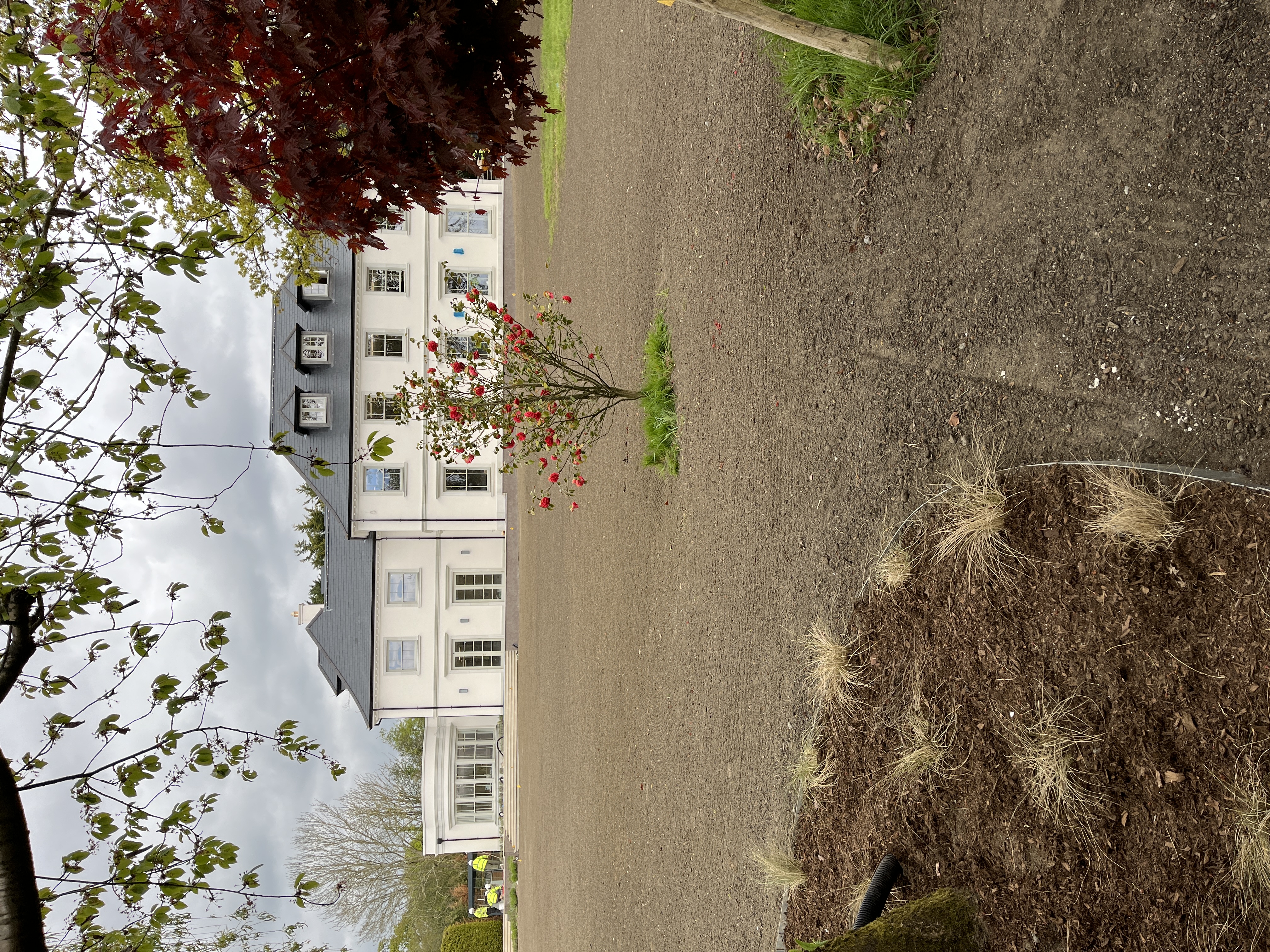 Lawn Doctor Essex Ltd — deep-tine aeration work, photo 12 of 12