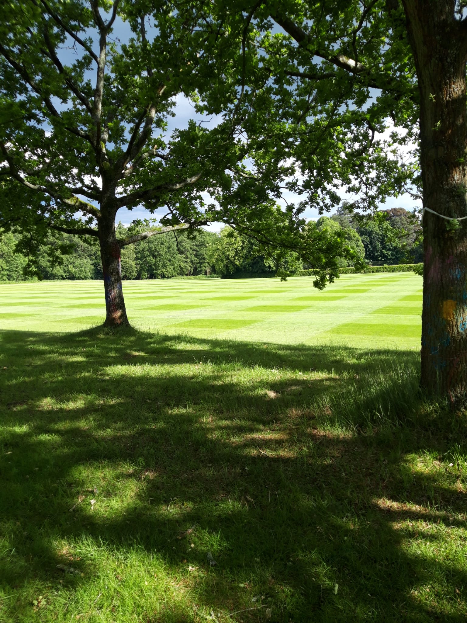 Green Pitch Solutions work