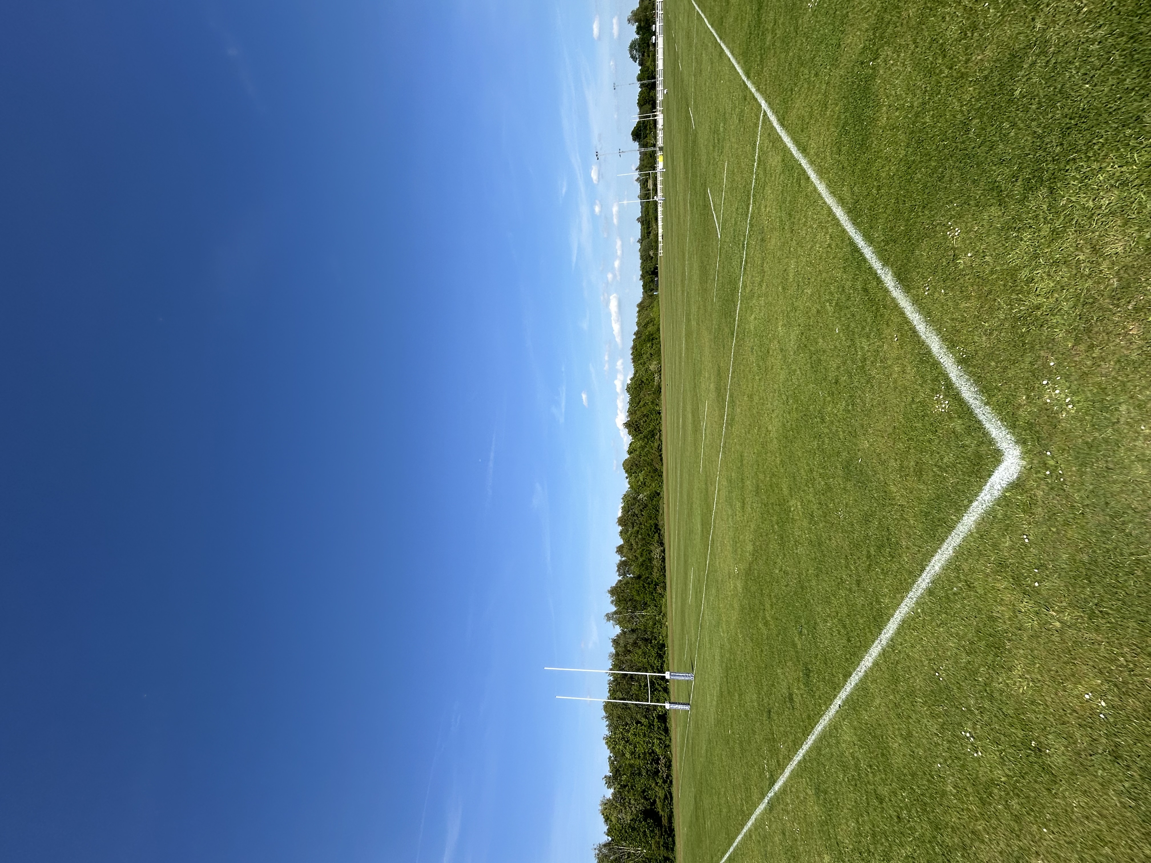 Revive Grounds Maintenance LTD work