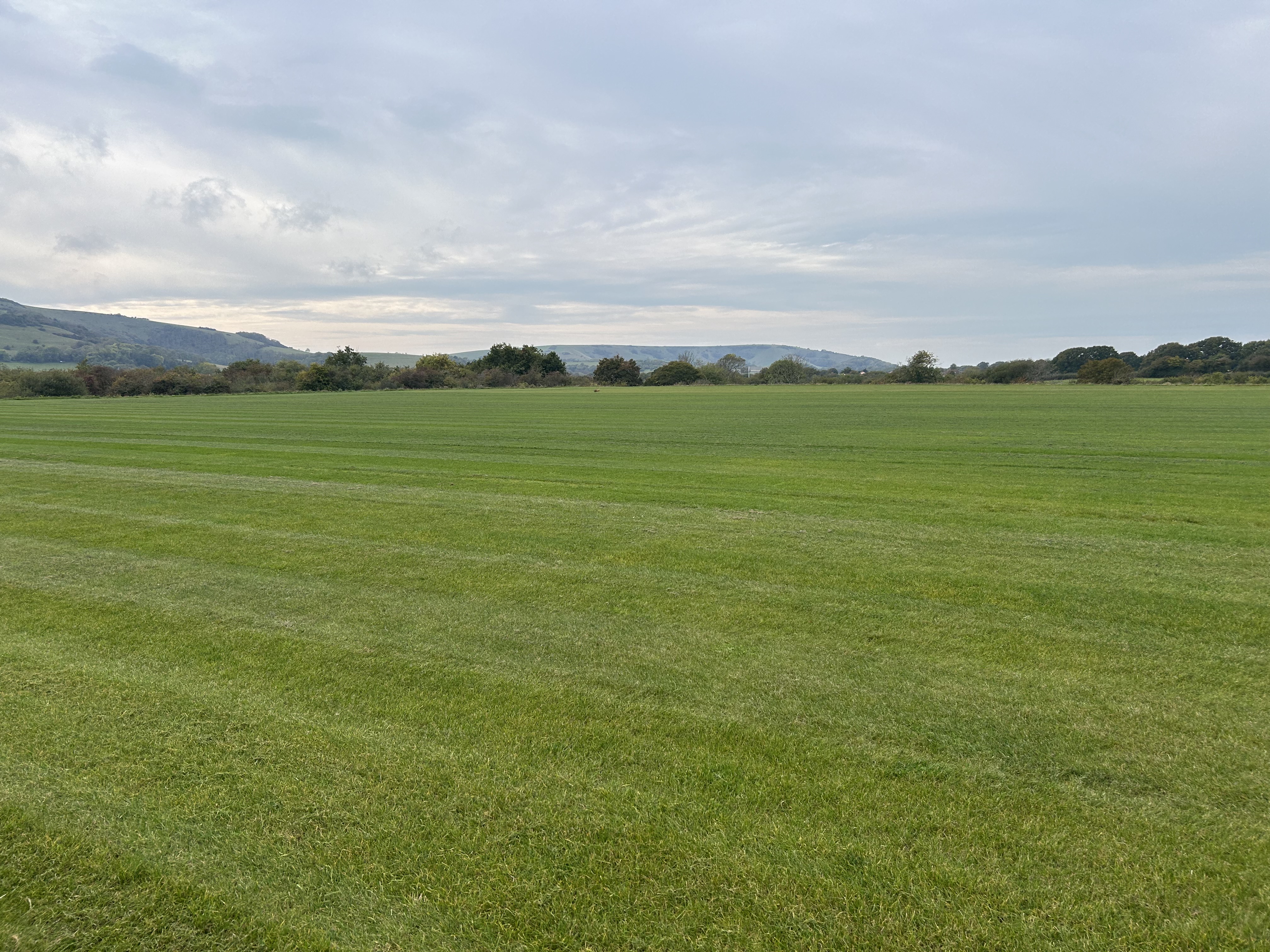 Football pitch grass cuts