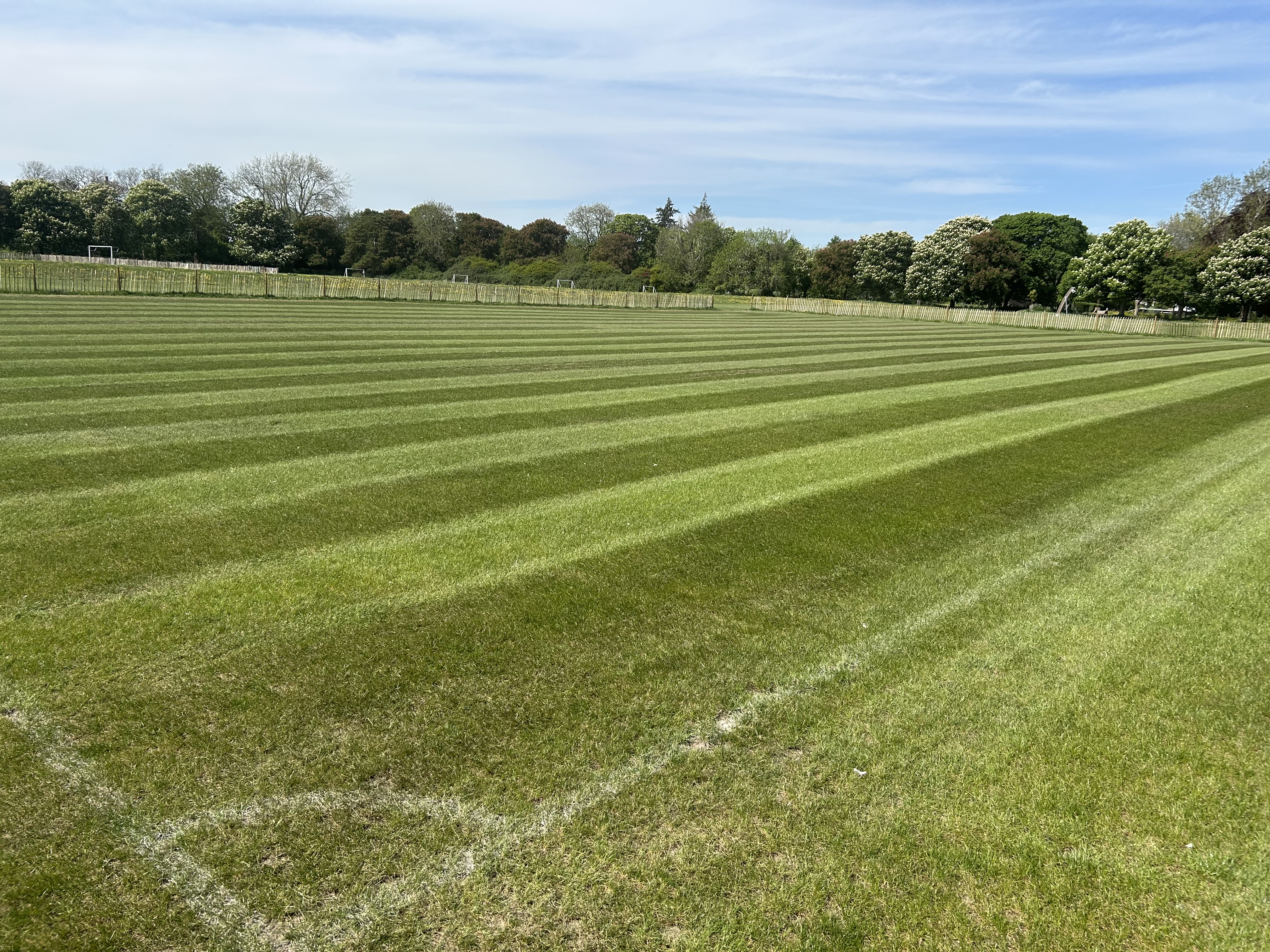 HB Tree and Grounds Maintenance — solid tine spiking work, photo 3 of 3